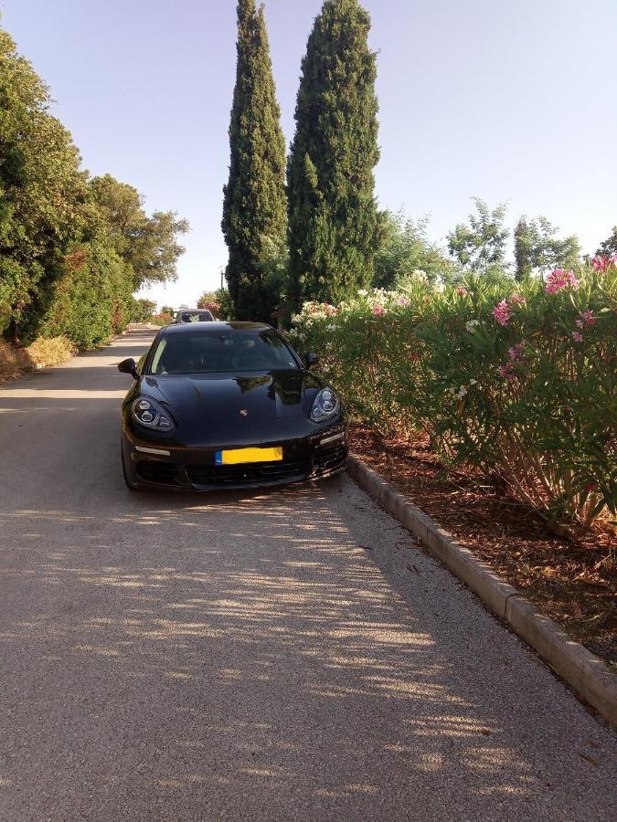 Luciana Otel La Croix-Valmer Dış mekan fotoğraf